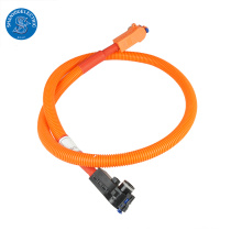 Electric Car Battery Charging Wire Harness